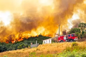 България е в Топ 5 по щети от горски пожари в ЕС