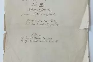 Ръкописът на Швейк беше изненадващо открит