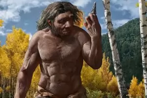 Череп на 1 млн. години променя знанието за човешката еволюция