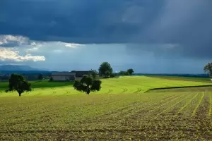 Седмичен хороскоп