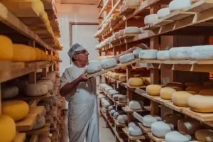 Само в България фалшиво сирене се продава законно 