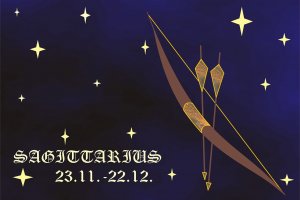 ОвенНе отлагайте изпълнението на професионалните си ангажименти Постарайте се да