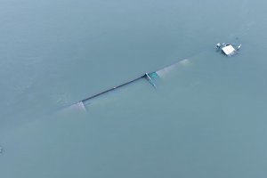 В началото на януари по долното течение на Дунав се