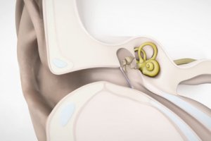 Използвайки генетични инструменти при експерименти с мишки изследователите от Джон Хопкинс идентифицирали