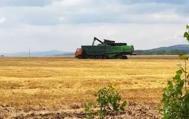 Зърнобизнесът поиска държавата да ограничава ръста на рентите