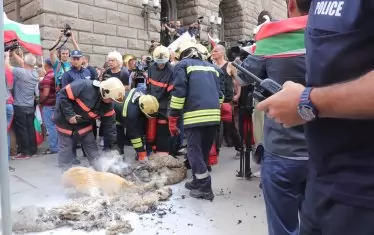 Недоволните запалиха вълна пред сградата на бившия Партиен дом, което наложи намесата на пожарникари. Протестиращите поискаха и компенсации за срива в цените на овчето мляко от 1.40 лв. на 1 лв.