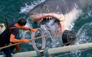 Спилбърг се извини за изтребването на акулите след "Челюсти"