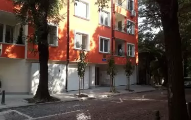 На тяхно място бяха засадени фиданки, но само няколко месеца по-късно те видимо линеят.