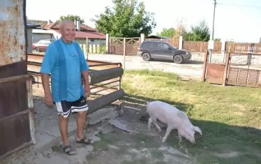  Съби Стоянов през смях позира с прасенцето си Гошо.