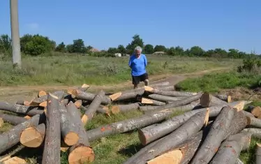 Бившият кметски наместник на Вичево Иван Иванов се навърта край струпани колове, които са материал за оградата.