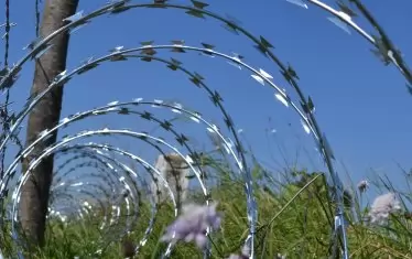 Ролка много бодлива тел в основата на оградата - в нея е надеждата.
