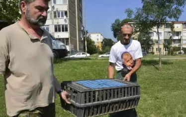 А портрета от гърдите... В езерото на столичния квартал "Дружба" пуснаха сто патици. Един от патичарите беше с правилна тениска. Снимка на Юлия Лазарова.