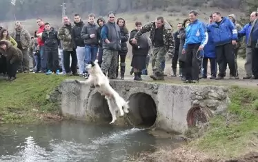 Полицията разтури народното веселие.

