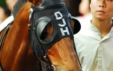  За българите “Кон с наочници”,  за американците Tunnel vision