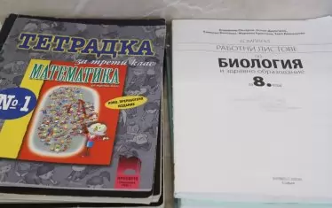 Дори ученикът да е избрал езикова гимназия или математическа, ако има достатъчно желаещи за сформиране на група, той може да учи като трети или четвърти профилиращ предмет нещо съвсем различно от основния профил, например биология или химия.