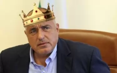 Извънбрачният дофин свикна със стягащия го обръч