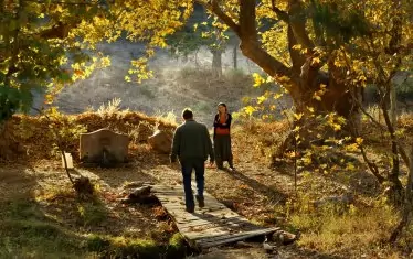 "Дивата круша"