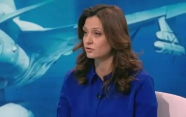  Вицепрезидентът на СААБ Красимира Стоянова обяви, че предлаганият от САЩ самолет е само на хартия.