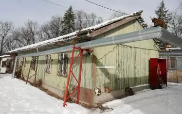 Въпреки че според СЗО злоупотребата с алкохол започва след първата малка ракия, чаша вино или малка бира, границата между пиянството и болестта е индивидуална и трудно се прокарва.

