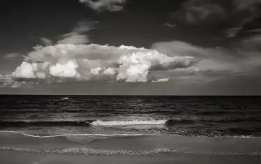  Излогжбата за първи път показва и фотографии на автора.