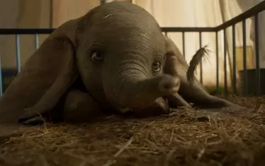 Слончето Дъмбо разперва "крила", щом надуши перце.