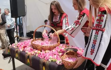 Качеството и цената на българската роза ще бъдат гарантирани със закон