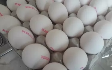 Яйца и краставици са храните с най-висок ръст на цените през декември