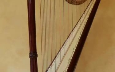 Арфа Salvi - Diana