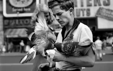 Ню Йорк, 1954 г.