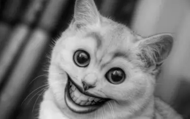  Спецмакиаж за спецжурналистика. 