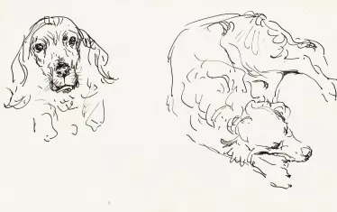 Легнало куче, туш, картон, 16 х 28,1 см