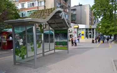 Една тъжна истина за България
