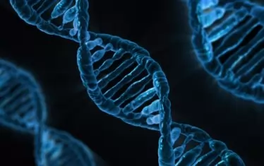 Свръхмодерно генетично изследване предсказва колко ще живеем