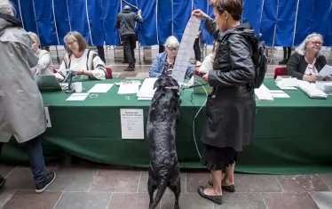 Гласоподавателите в Швеция, Дания и Финландия решиха да дадат нов шанс на традиционните партии. 
