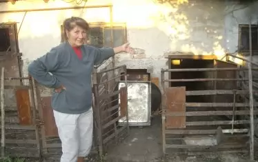 Игнатка показва вече празната кочина на прасето, заради чието "жертвоприношение" е била мобилизирана цялата фамилия.