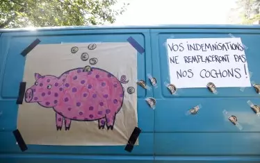 Белгийски фермери от южната част на страната залепиха на буса си съобщение към властта: "Компенсациите ви няма да заместят нашите прасета". Миналата година африканската чума по свинете стигна и до Белгия. 