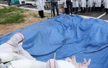  Южна Корея провежда учения за бърза реакция, когато африканската чума по свинете достигне до територията й. 