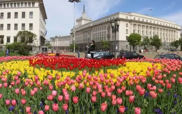 Не може да се отрече, че София стана много по-цветна при управлението на Фандъкова. 