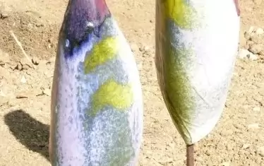 Данаил Николов, "Птици 1".