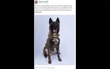 Декласифицирайте му 3-4 телешки пържолки!