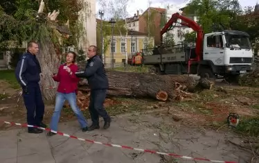  Гражданка се опита да предотврати изкореняването.