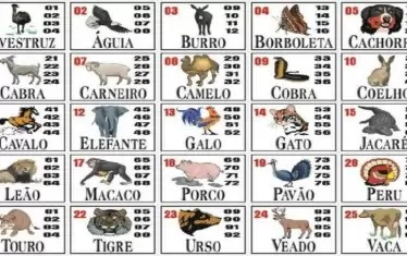 №24 в Jogo do Bicho е елен.