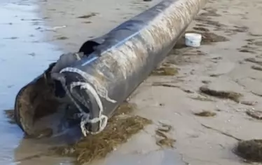 Красавицата изплува на плажа на "Златна рибка" край Созопол. 