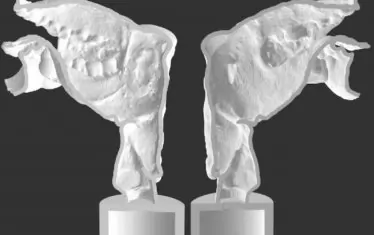  3D принтираният вокален тракт на мумията. 