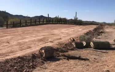 Кактуси на повече от 200 години са изсечени по трасето на стената
