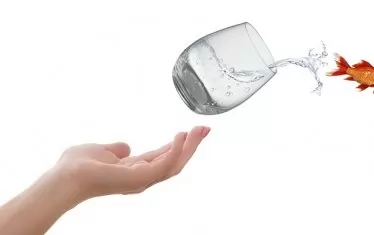 Излизане от Зоната на комфорт.