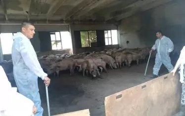 Мерки срещу коронавируса по хората. Малко пожарникарска пяна - и вирусът спи!