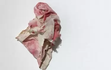  Севда Семер, „Петгодишен дневник на любовта и близостта, 2018-2023”, фрагмент