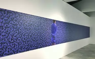 Надежда Олег-Ляхова „Дигитален натюрморт (Незабравки)”, 1999-2004