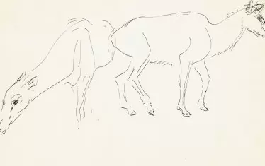 Илия Петров, Сърни, 40-те г. на ХХ в., туш върху хартия